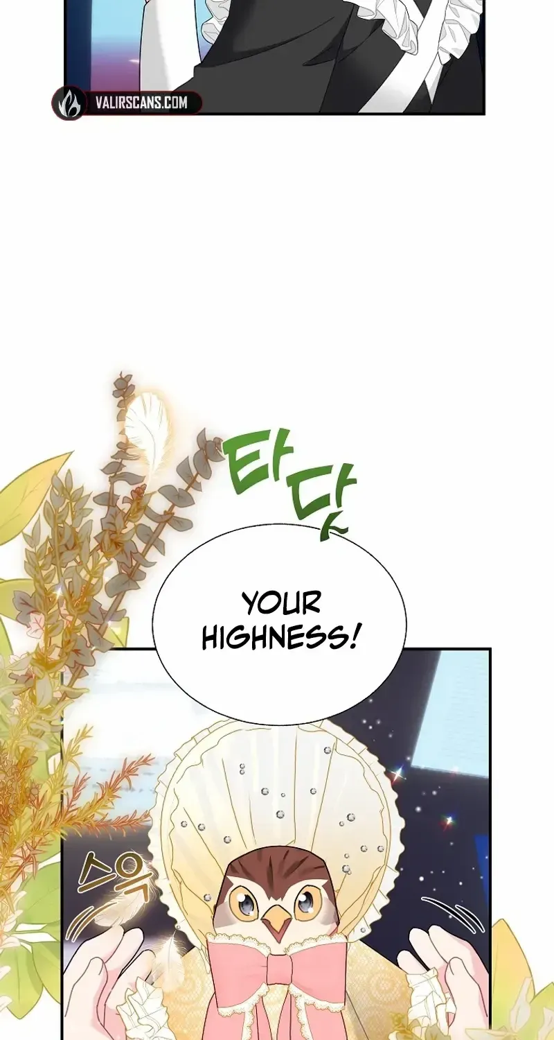 Read Cavier Falcon Princess chapter 114 image 42 on Lezhin