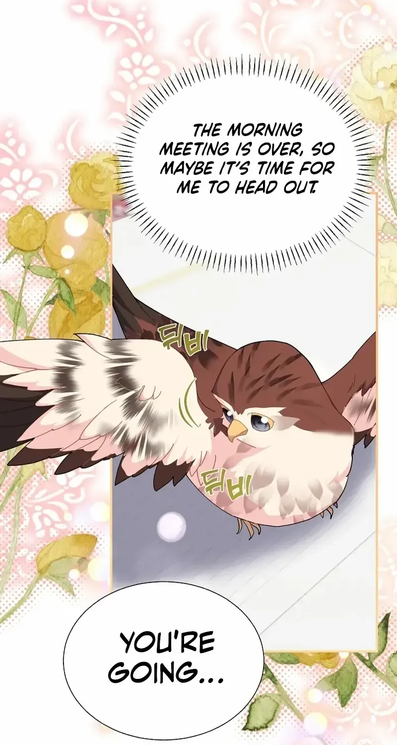 Read Cavier Falcon Princess chapter 114 image 61 on Lezhin