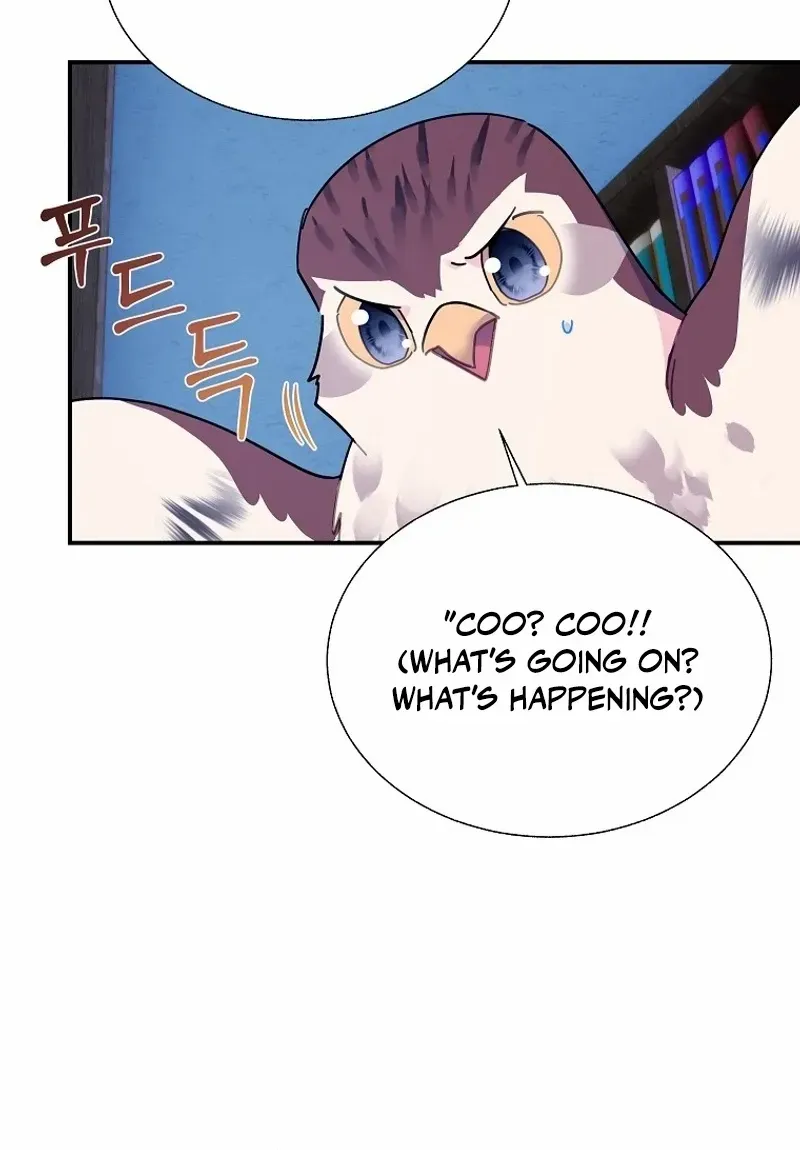 Read Cavier Falcon Princess chapter 115 image 18 on Lezhin