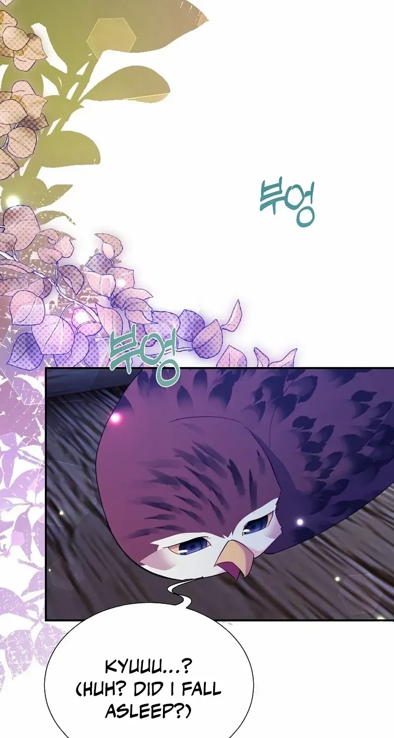 Read Cavier Falcon Princess chapter 115 image 5 on Lezhin