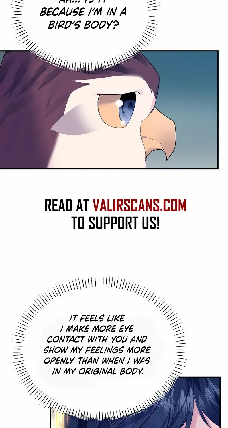Read Cavier Falcon Princess chapter 116 image 15 on Lezhin