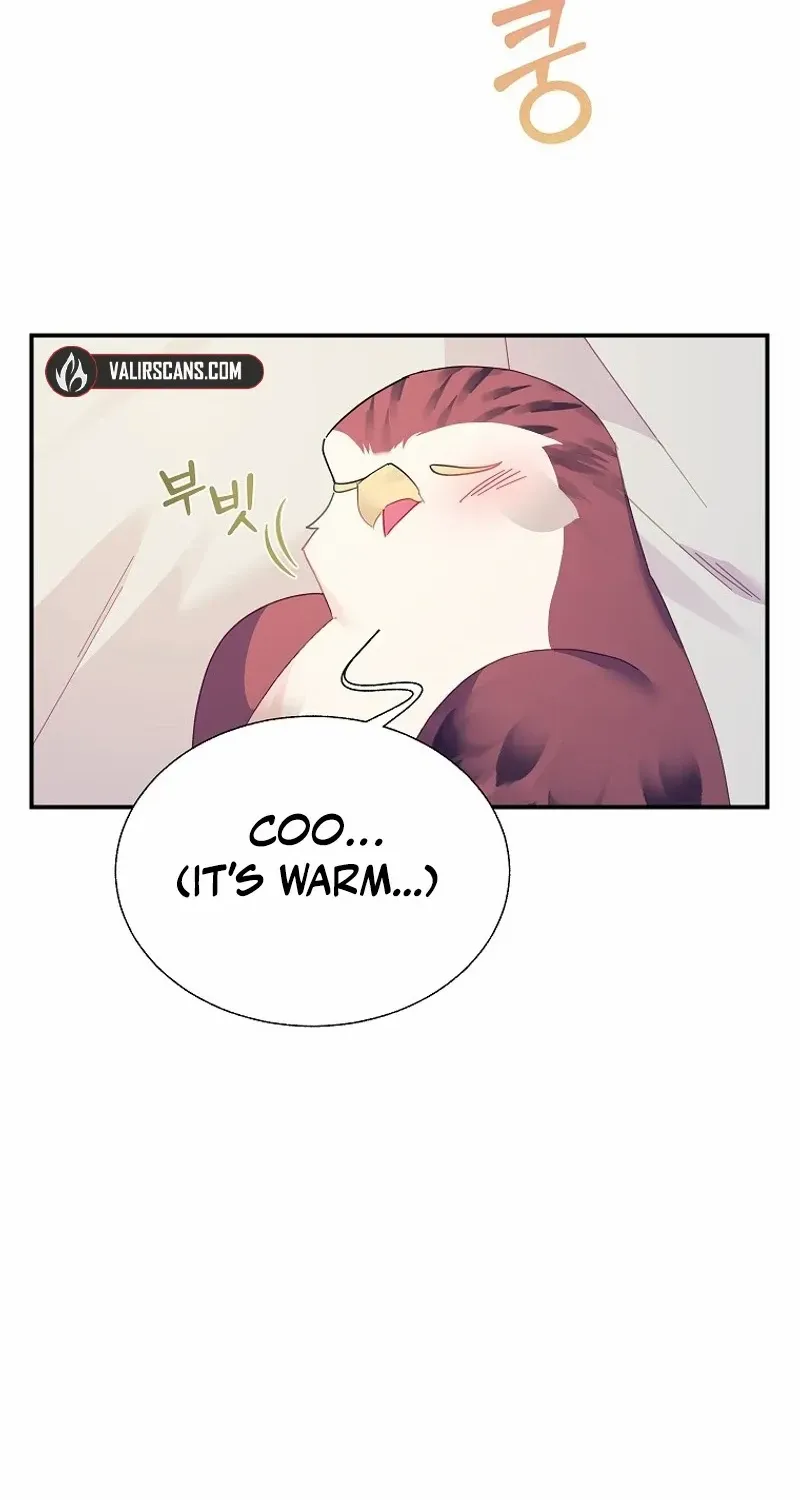 Read Cavier Falcon Princess chapter 116 image 42 on Lezhin