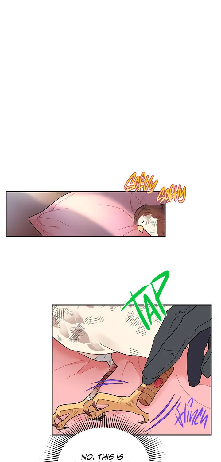 Read Cavier Falcon Princess chapter 12 image 28 on Lezhin