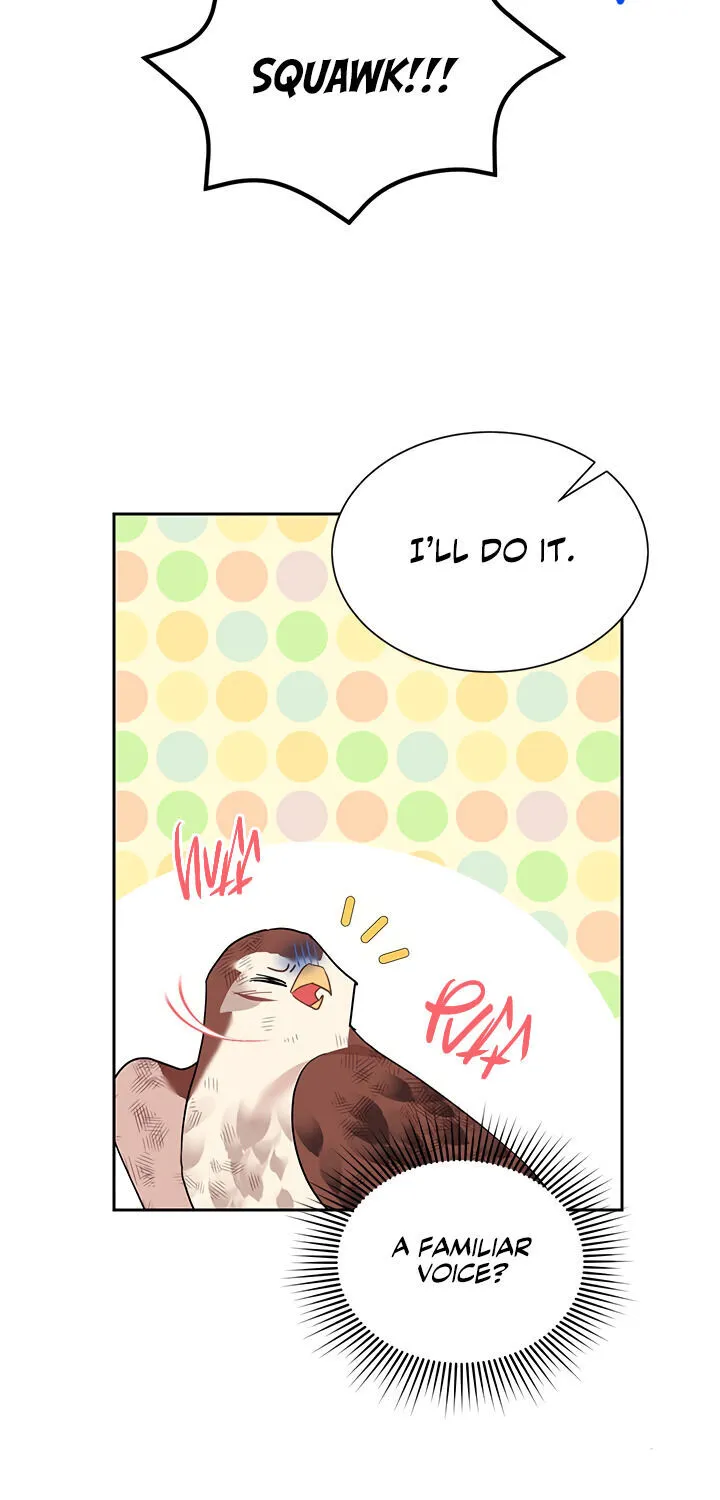 Read Cavier Falcon Princess chapter 12 image 30 on Lezhin