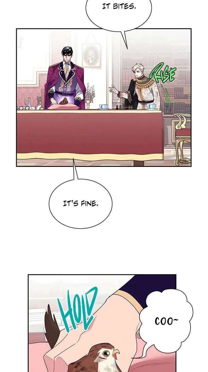 Read Cavier Falcon Princess chapter 12 image 39 on Lezhin