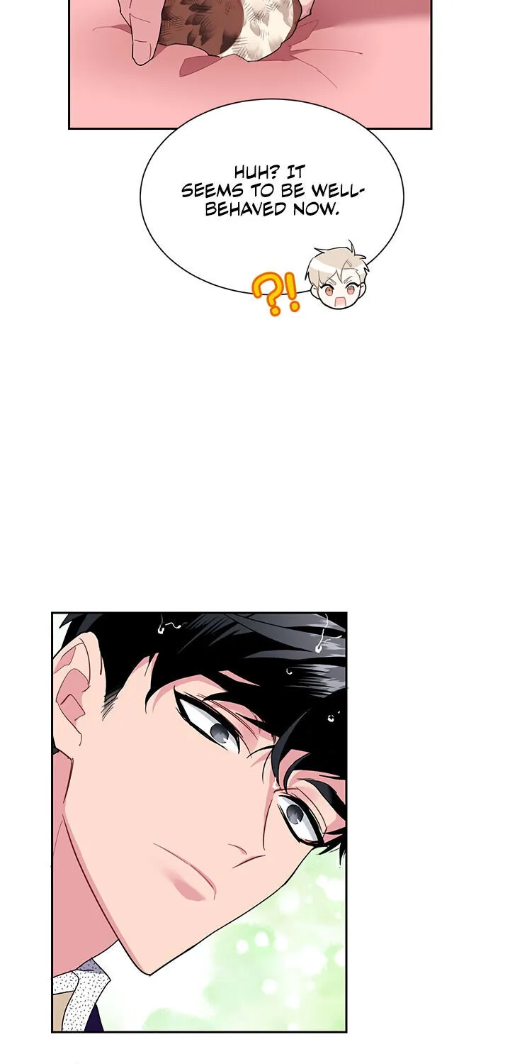 Read Cavier Falcon Princess chapter 12 image 40 on Lezhin