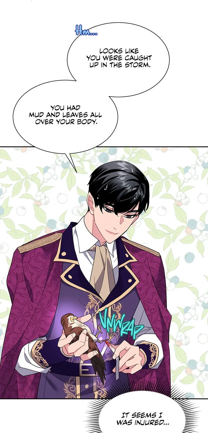 Read Cavier Falcon Princess chapter 12 image 41 on Lezhin
