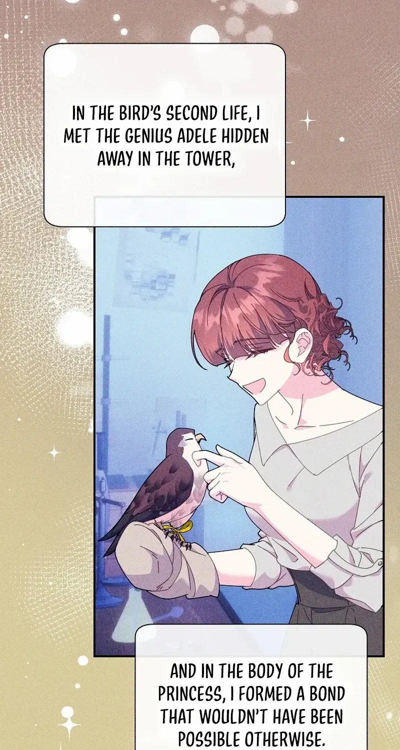 Read Cavier Falcon Princess chapter 120 image 40 on Lezhin