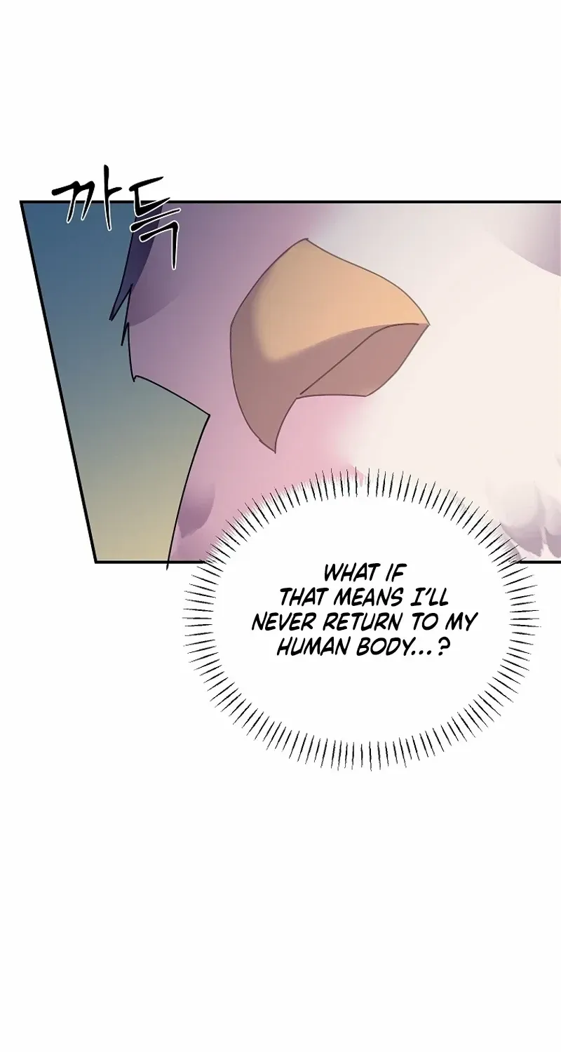 Read Cavier Falcon Princess chapter 121 image 11 on Lezhin