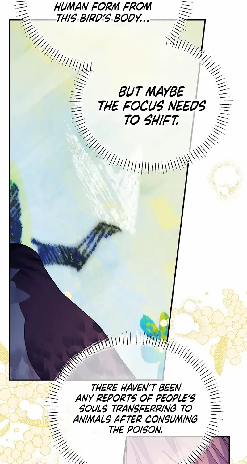 Read Cavier Falcon Princess chapter 121 image 31 on Lezhin