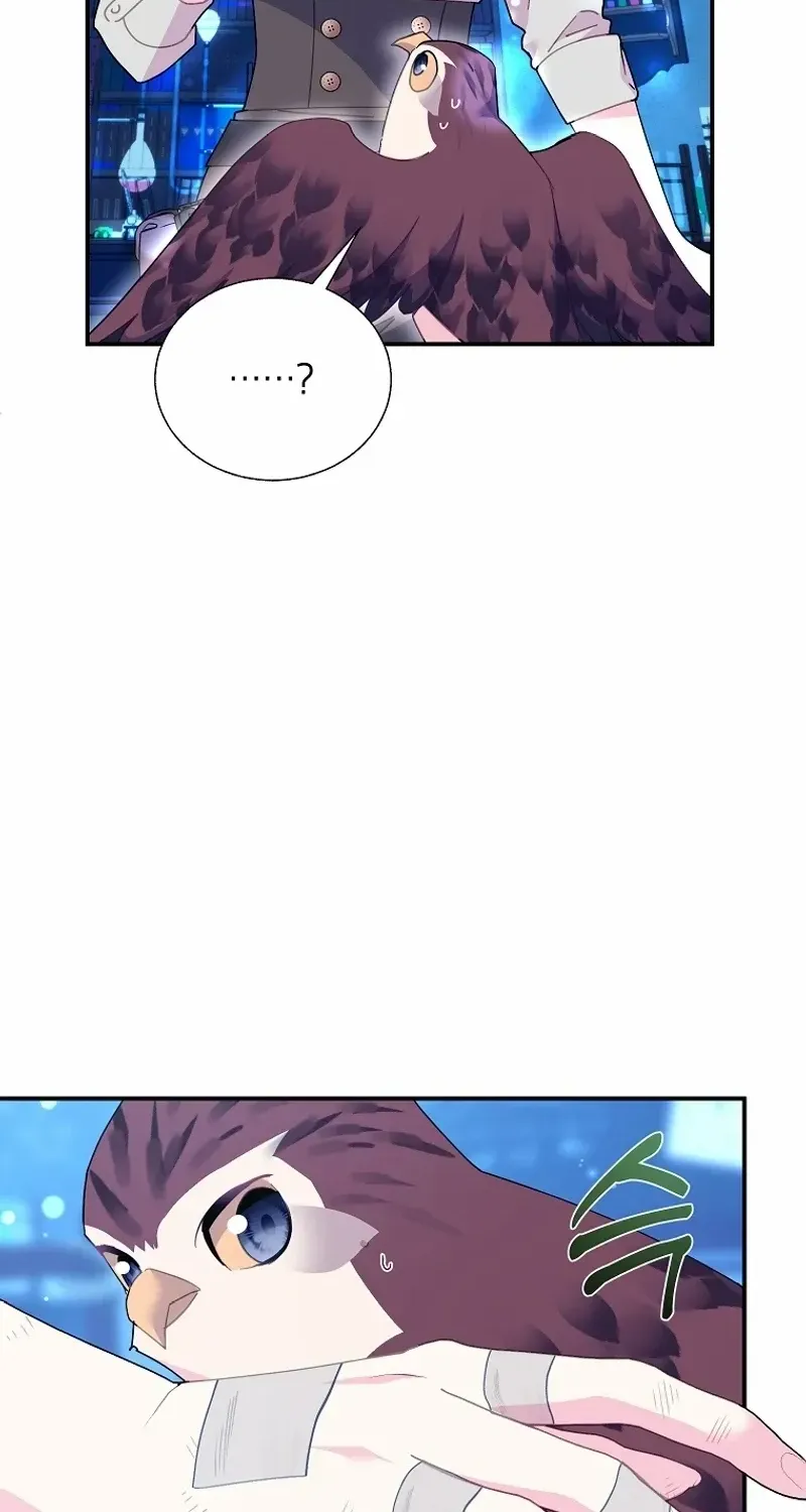 Read Cavier Falcon Princess chapter 121 image 36 on Lezhin