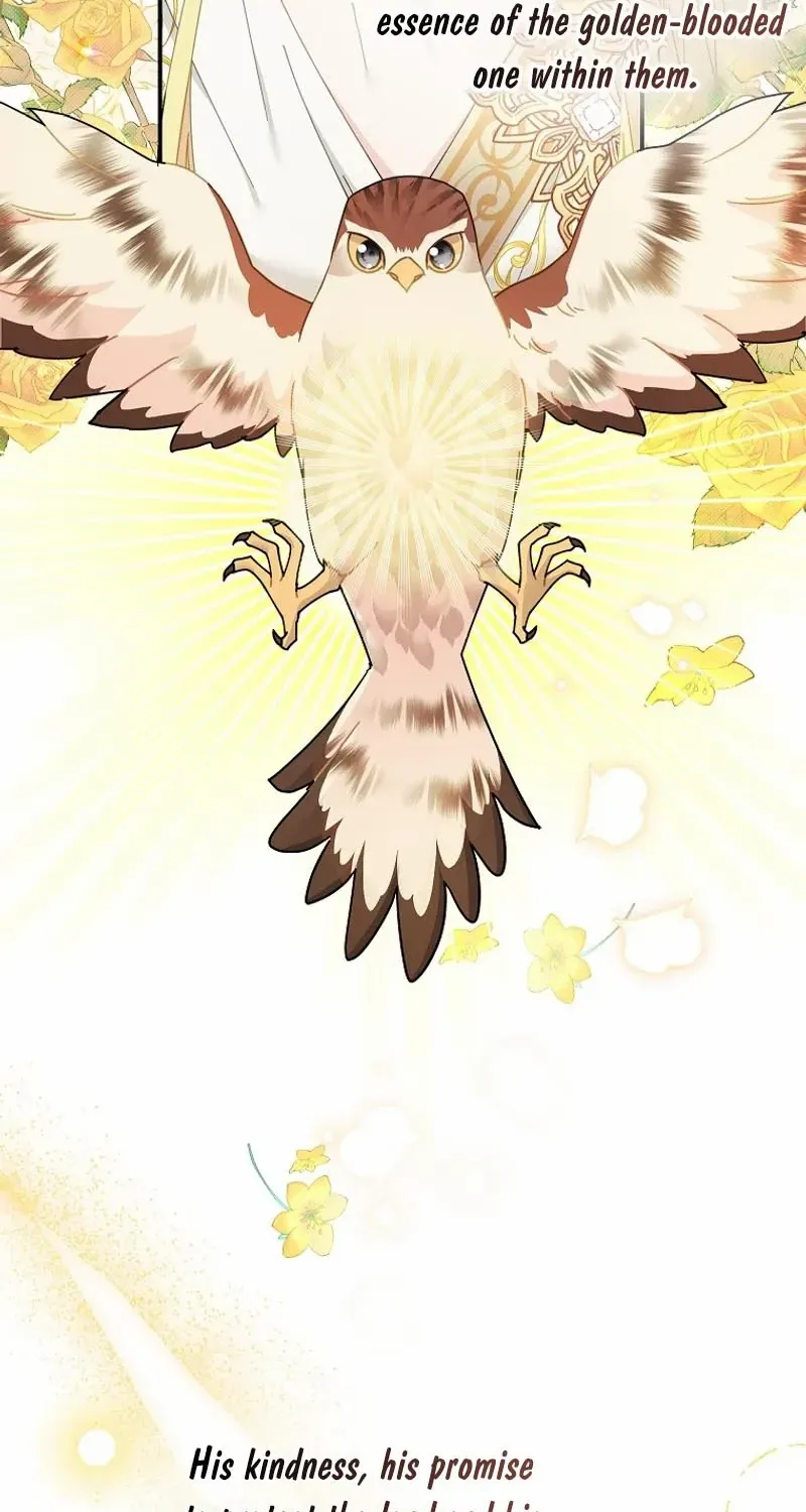Read Cavier Falcon Princess chapter 122 image 12 on Lezhin