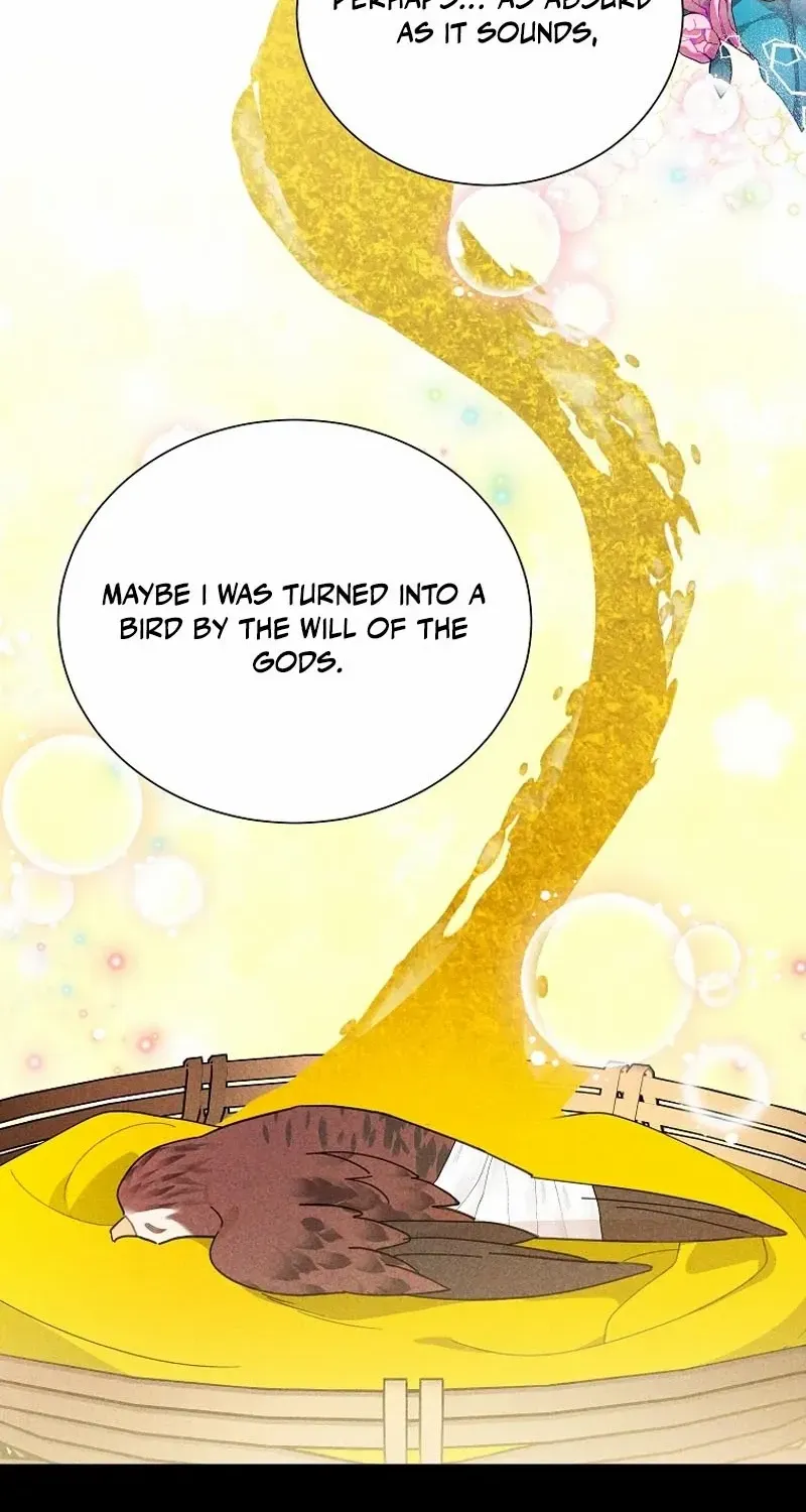 Read Cavier Falcon Princess chapter 122 image 27 on Lezhin