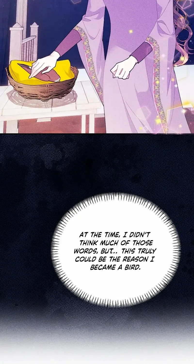 Read Cavier Falcon Princess chapter 122 image 29 on Lezhin