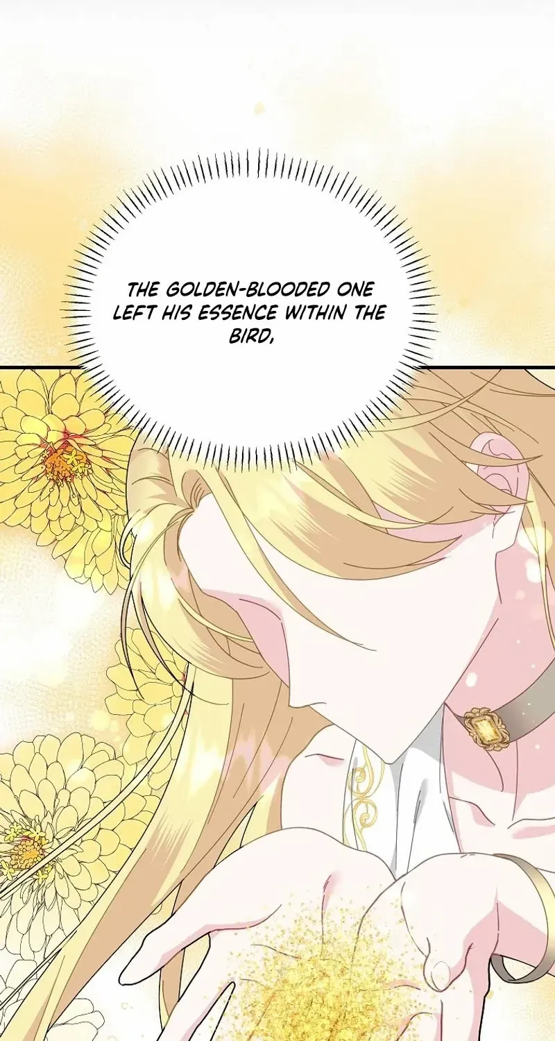 Read Cavier Falcon Princess chapter 122 image 30 on Lezhin