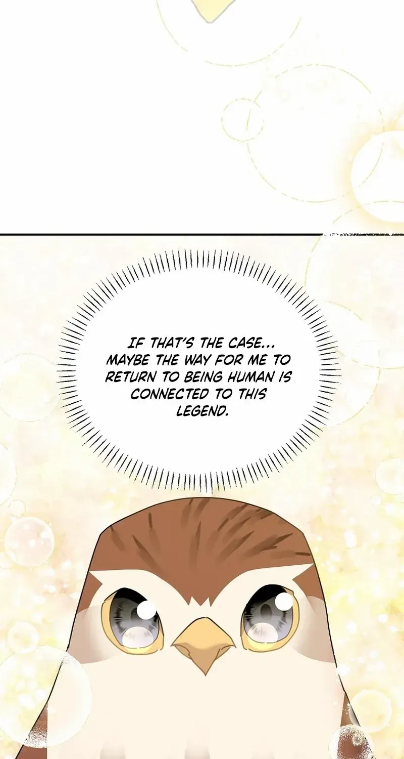 Read Cavier Falcon Princess chapter 122 image 34 on Lezhin