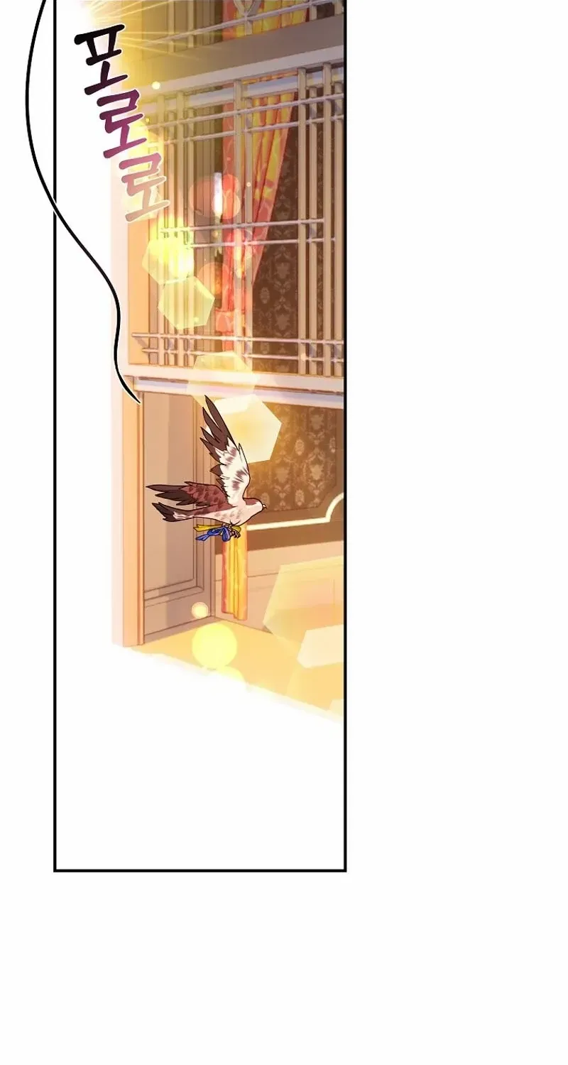 Read Cavier Falcon Princess chapter 122 image 37 on Lezhin