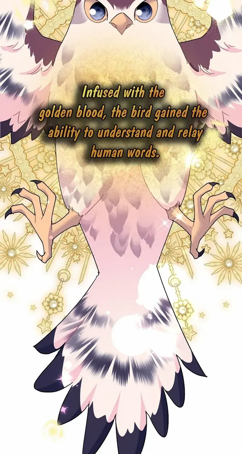 Read Cavier Falcon Princess chapter 122 image 6 on Lezhin