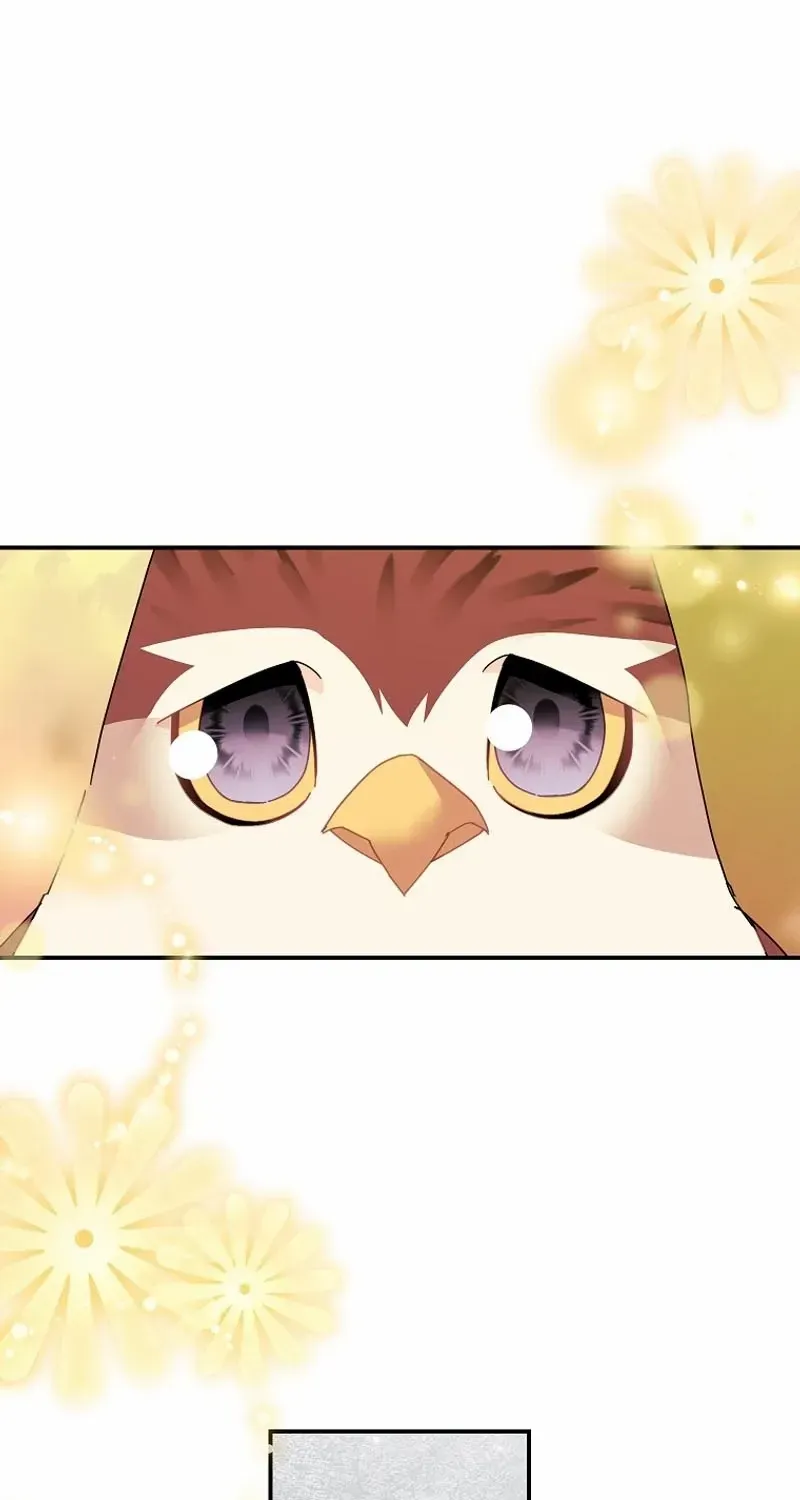 Read Cavier Falcon Princess chapter 122 image 74 on Lezhin