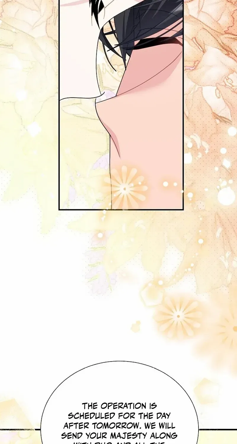 Read Cavier Falcon Princess chapter 122 image 81 on Lezhin