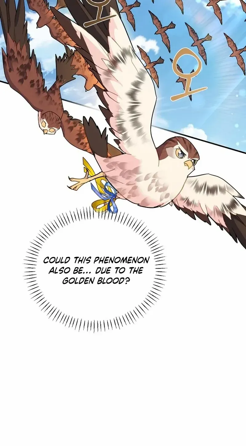 Read Cavier Falcon Princess chapter 122 image 88 on Lezhin