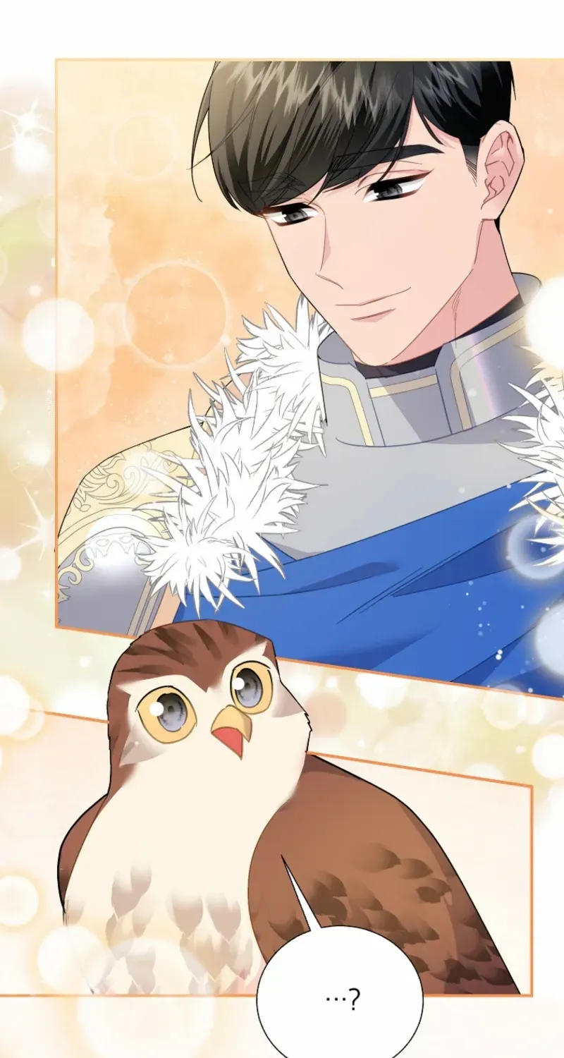 Read Cavier Falcon Princess chapter 123 image 14 on Lezhin