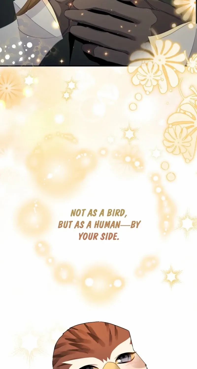Read Cavier Falcon Princess chapter 123 image 92 on Lezhin