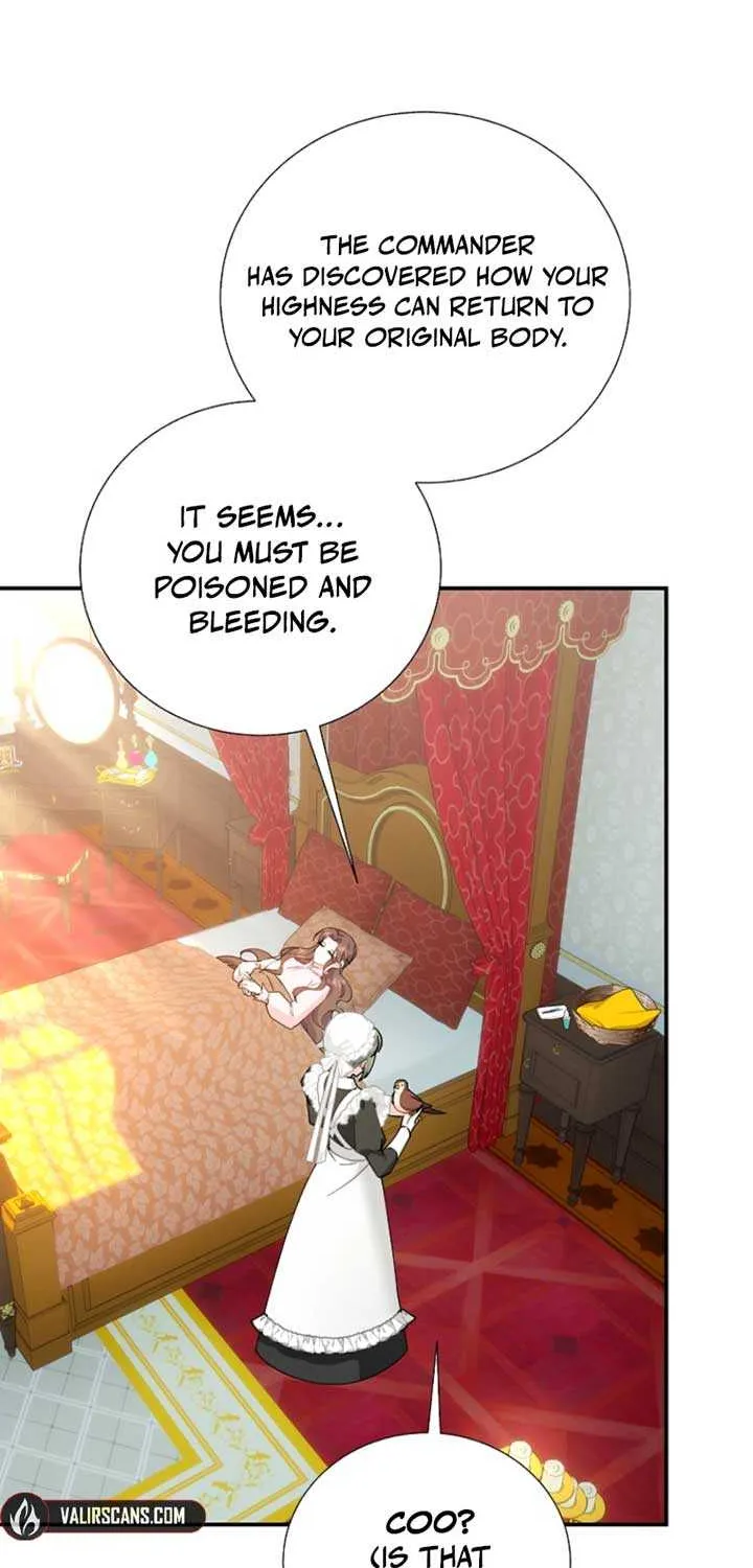 Read Cavier Falcon Princess chapter 125 image 11 on Lezhin