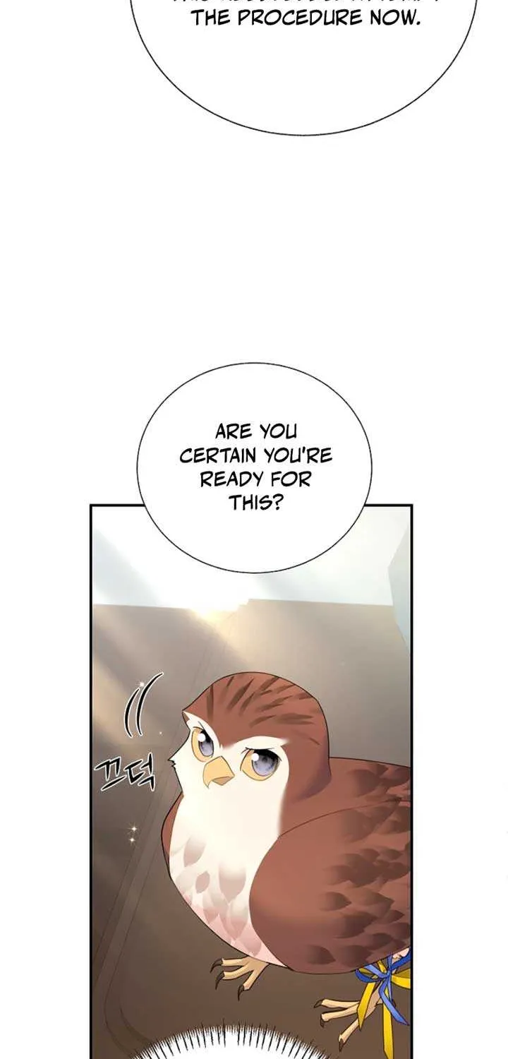 Read Cavier Falcon Princess chapter 125 image 13 on Lezhin