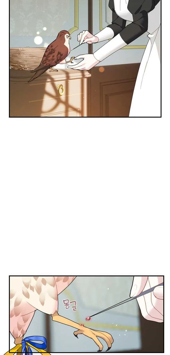 Read Cavier Falcon Princess chapter 125 image 15 on Lezhin