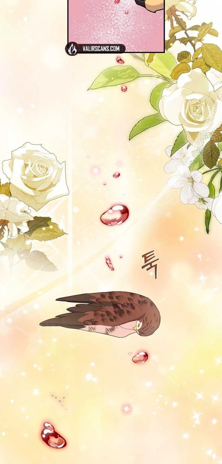 Read Cavier Falcon Princess chapter 125 image 18 on Lezhin