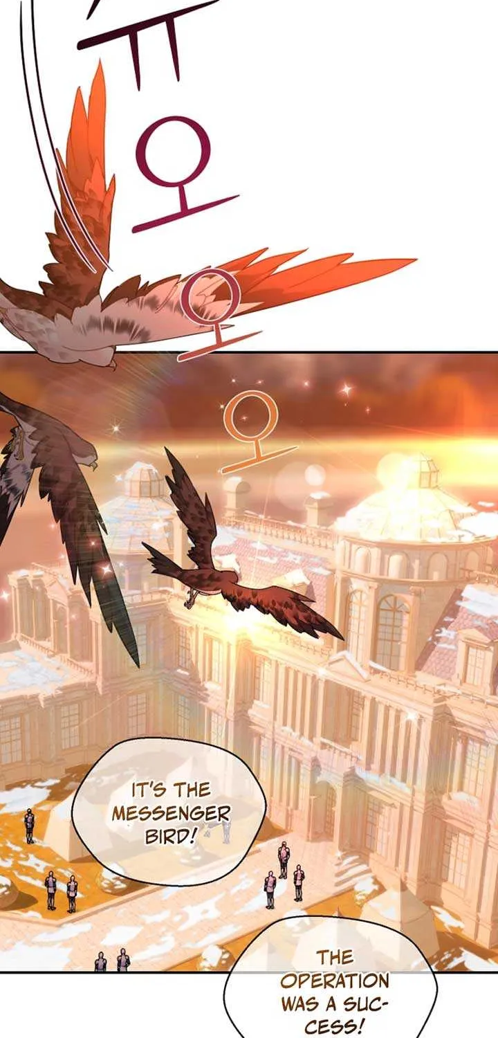 Read Cavier Falcon Princess chapter 125 image 2 on Lezhin