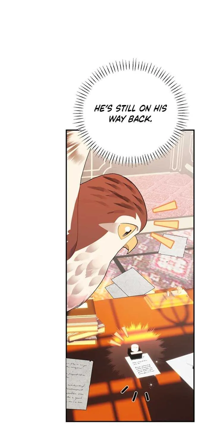 Read Cavier Falcon Princess chapter 125 image 5 on Lezhin