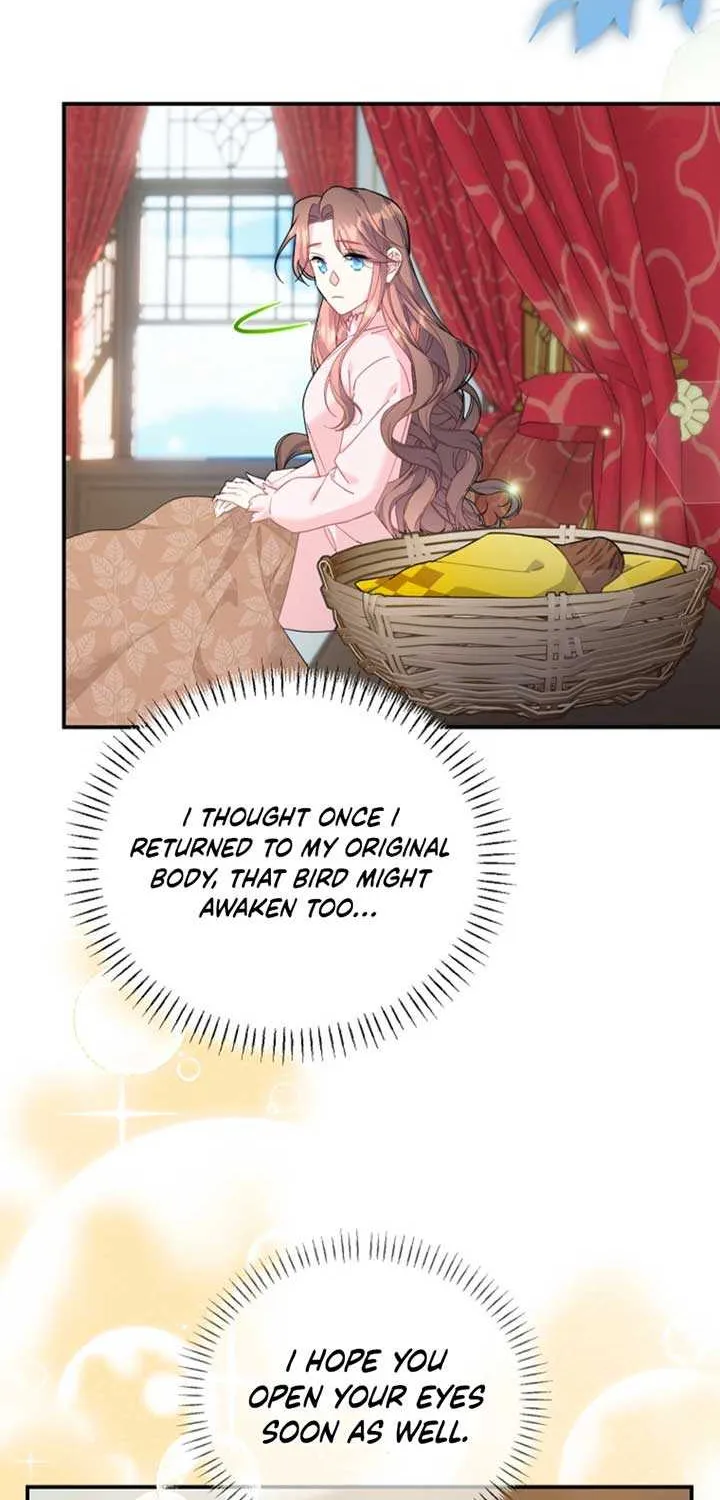 Read Cavier Falcon Princess chapter 126 image 3 on Lezhin