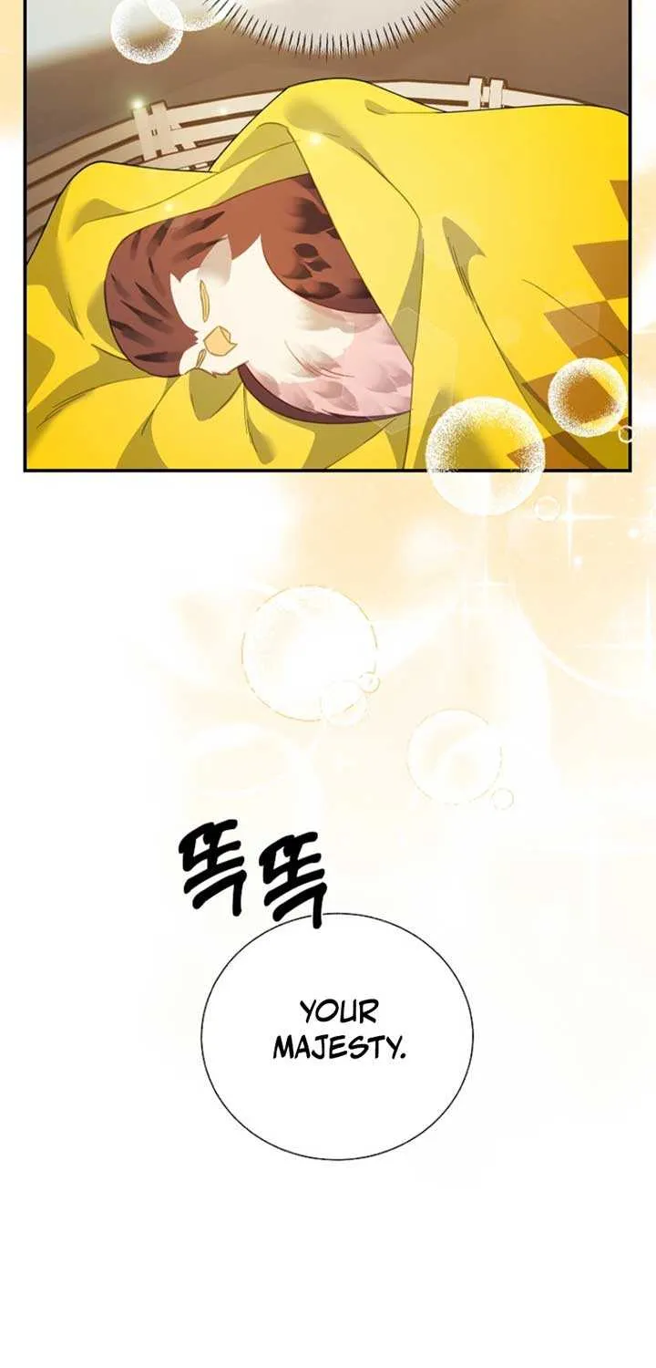 Read Cavier Falcon Princess chapter 126 image 4 on Lezhin