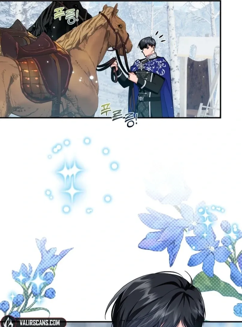 Read Cavier Falcon Princess chapter 128 image 11 on Lezhin
