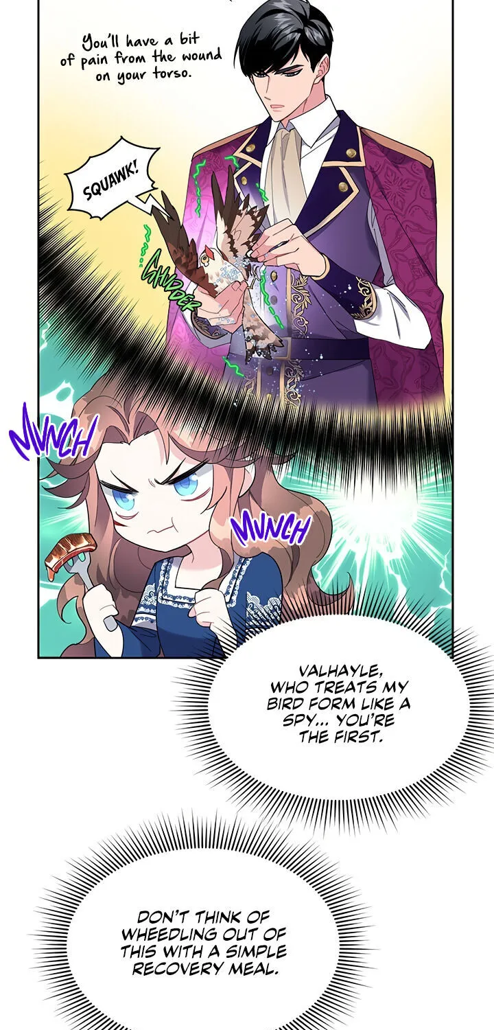 Read Cavier Falcon Princess chapter 13 image 2 on Lezhin