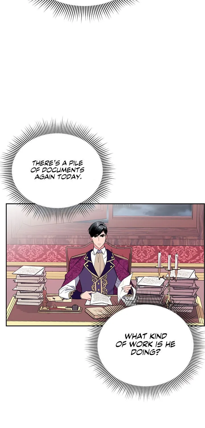Read Cavier Falcon Princess chapter 13 image 3 on Lezhin