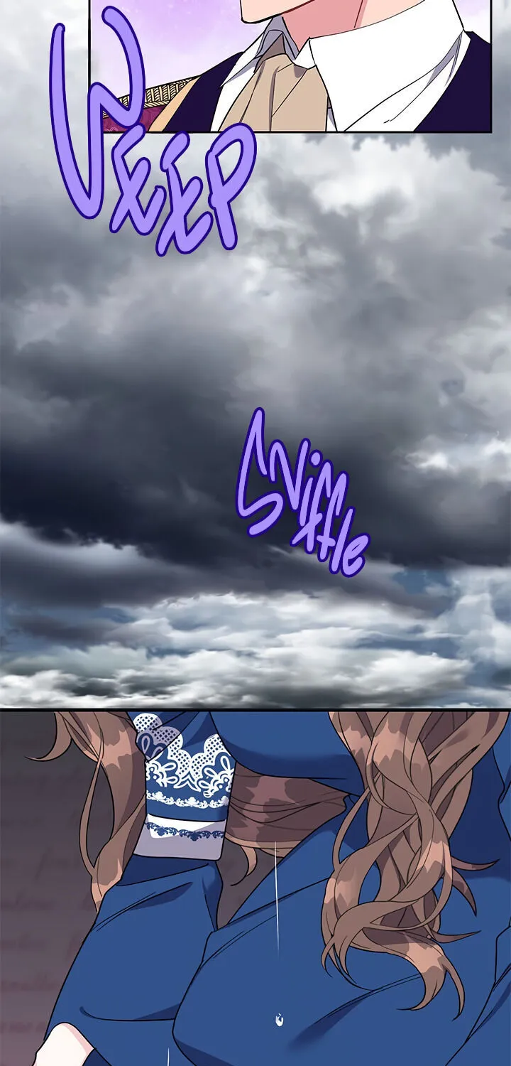 Read Cavier Falcon Princess chapter 13 image 31 on Lezhin