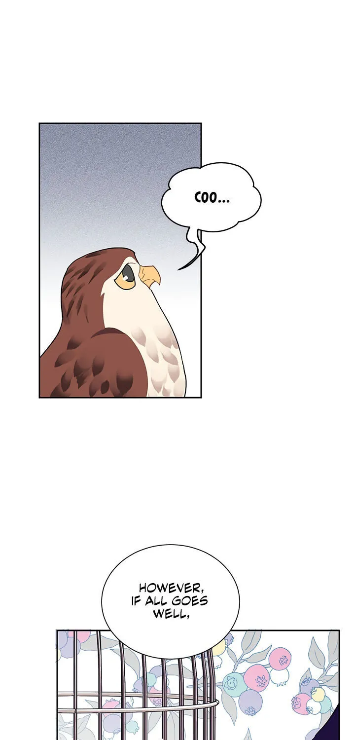 Read Cavier Falcon Princess chapter 13 image 61 on Lezhin