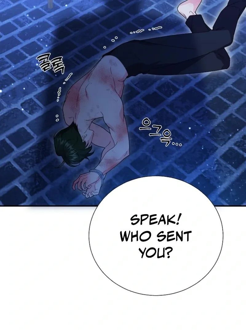 Read Cavier Falcon Princess chapter 136 image 10 on Lezhin