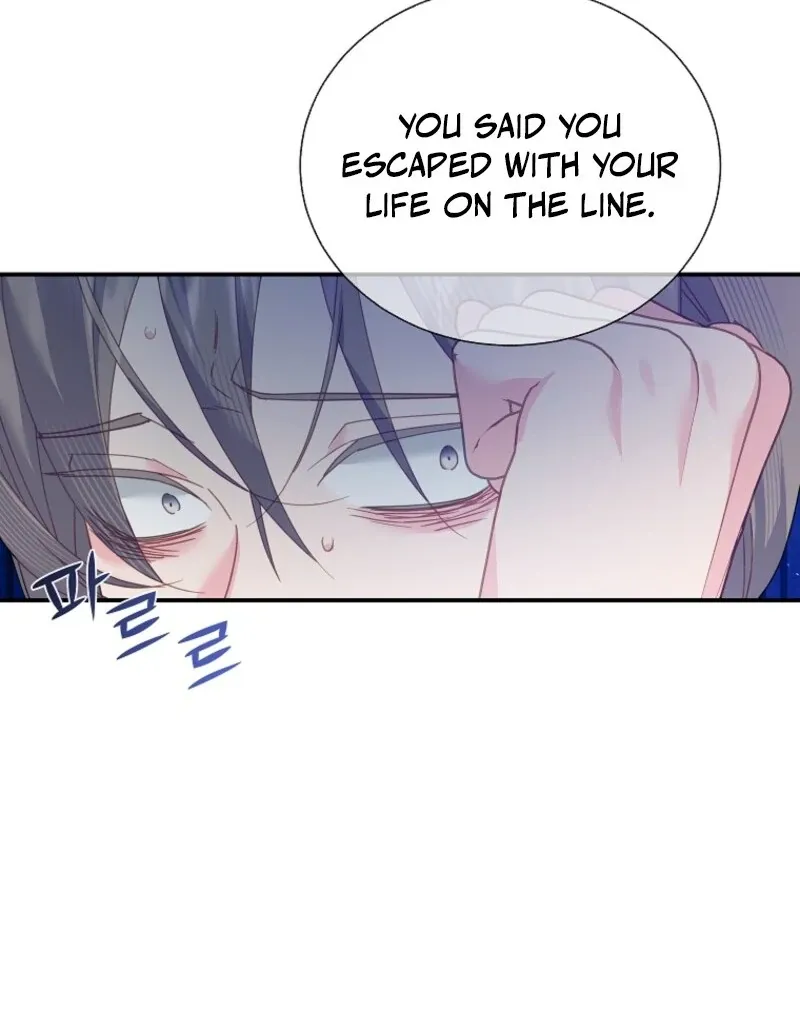 Read Cavier Falcon Princess chapter 138 image 95 on Lezhin