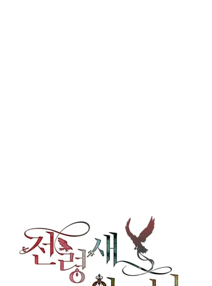 Read Cavier Falcon Princess chapter 139 image 80 on Lezhin