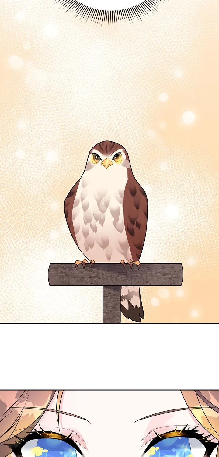 Read Cavier Falcon Princess chapter 14 image 1 on Lezhin