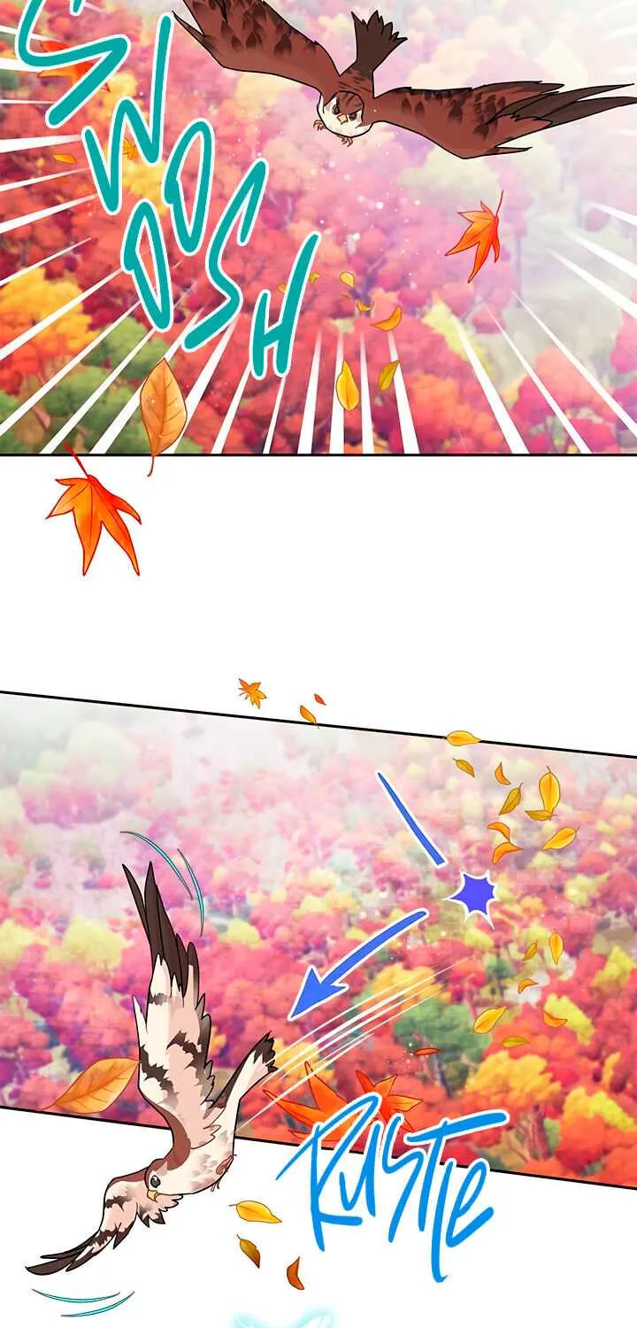 Read Cavier Falcon Princess chapter 14 image 29 on Lezhin