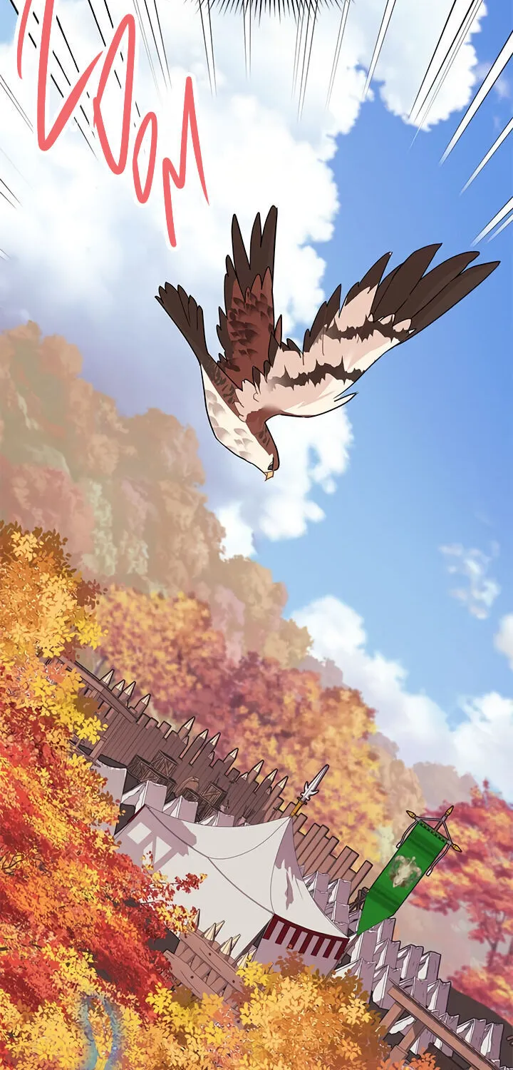 Read Cavier Falcon Princess chapter 14 image 34 on Lezhin