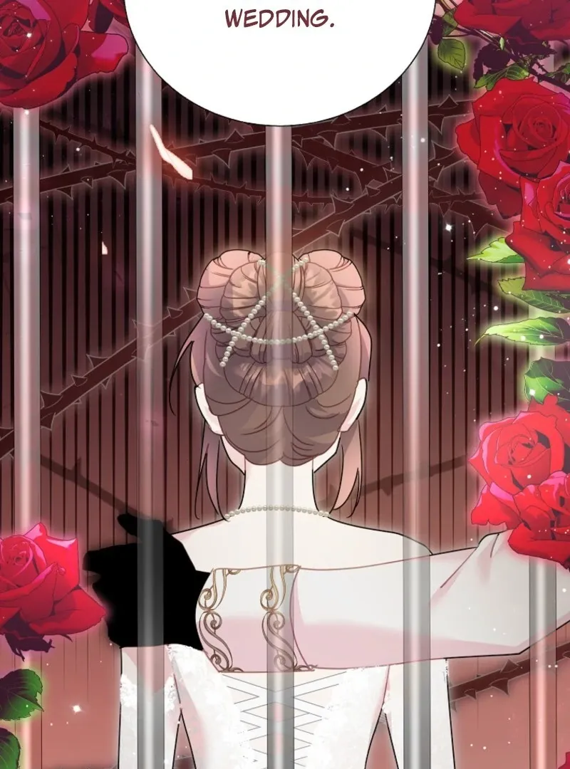 Read Cavier Falcon Princess chapter 141 image 33 on Lezhin