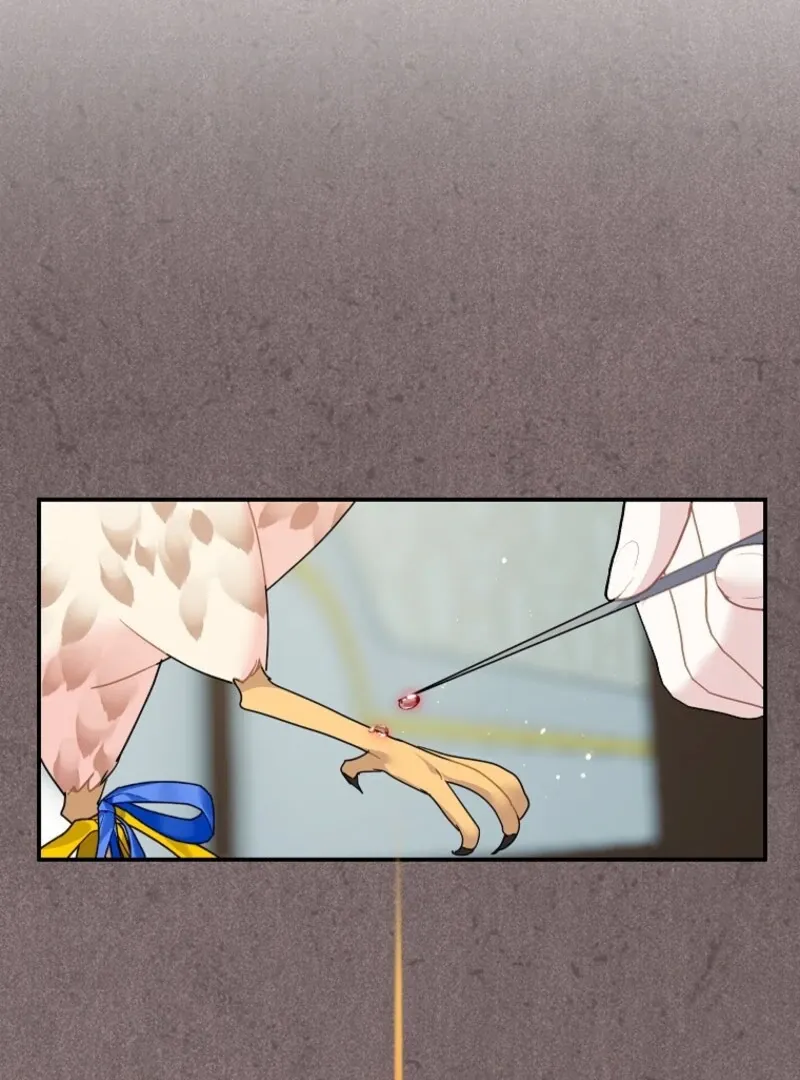 Read Cavier Falcon Princess chapter 142 image 62 on Lezhin