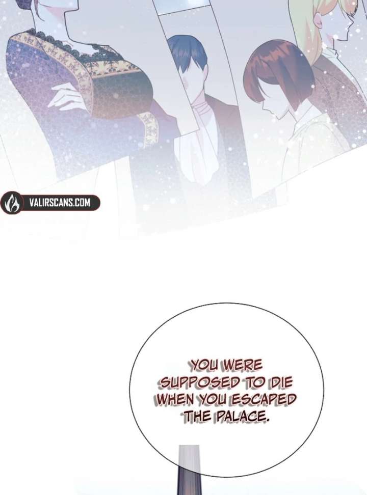 Read Cavier Falcon Princess chapter 144 image 22 on Lezhin
