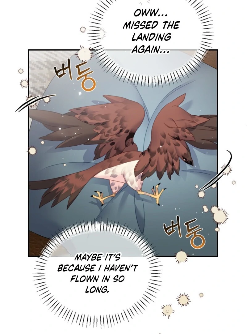 Read Cavier Falcon Princess chapter 145 image 19 on Lezhin